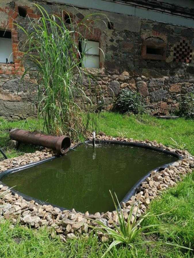 Gutshof Tda-Lohma Otel Langenleuba-Niederhain Dış mekan fotoğraf